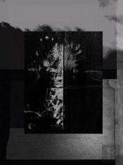 One Millimeter Of Black Dirt And A Veil Of Dead Cows