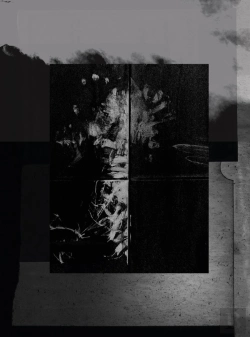 Bertrand.pt - One Millimeter Of Black Dirt And A Veil Of Dead Cows