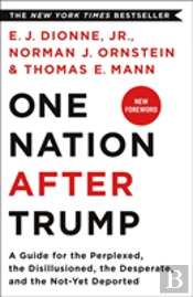 One Nation After Trump