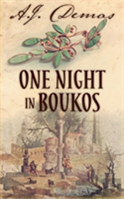 One Night In Boukos