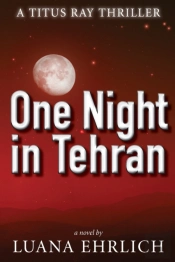 One Night In Tehran