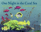 One Night In The Coral Sea