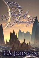 One Night Of Moonlight