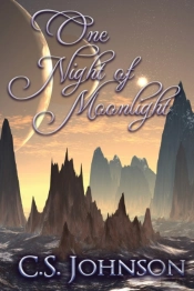 One Night Of Moonlight