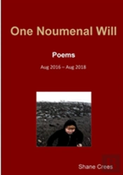 One Noumenal Will