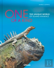 One Of A Kind