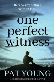 One Perfect Witness