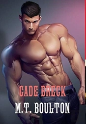 One Shots Novel