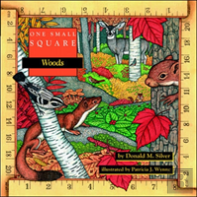 One Small Square: Woods