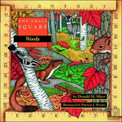 Bertrand.pt - One Small Square: Woods