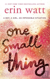One Small Thing