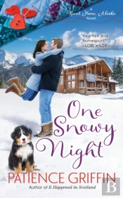 One Snowy Night