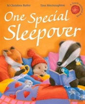 One Special Sleepover