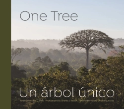 Bertrand.pt - One Tree