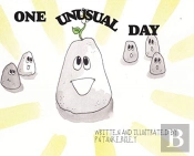 One Unusual Day
