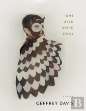 One Wild Word Away