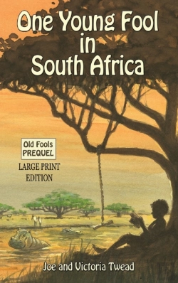 Bertrand.pt - One Young Fool In South Africa - Large Print
