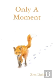 Only A Moment