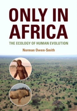 Bertrand.pt - Only In Africa