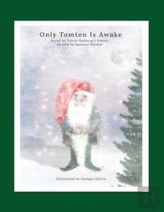 Only Tomten Is Awake