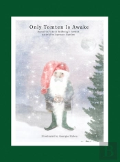 Only Tomten Is Awake