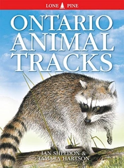Bertrand.pt - Ontario Animal Tracks