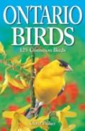Ontario Birds