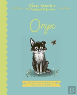 Bertrand.pt - Onyx
