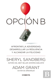 Opción B