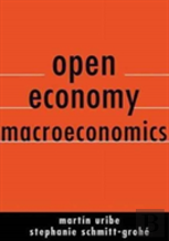 Open Economy Macroeconomics