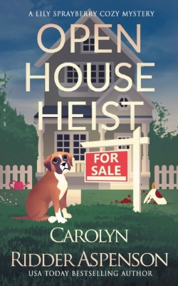 Bertrand.pt - Open House Heist