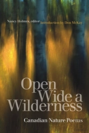 Open Wide A Wilderness