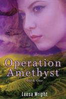 Operation Amethyst
