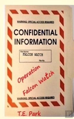 Bertrand.pt - Operation Falcon Watch