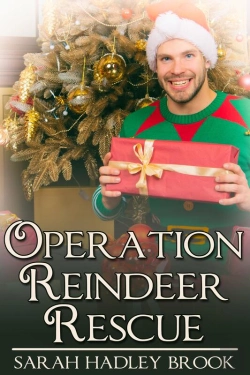 Bertrand.pt - Operation Reindeer Rescue