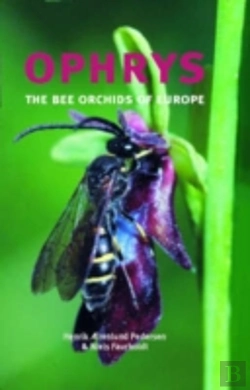 Bertrand.pt - Ophrys