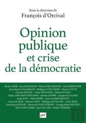 Opinion Publique Et Crise De La Démocratie