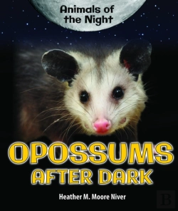 Bertrand.pt - Opossums After Dark