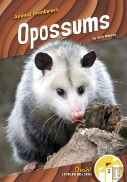 Bertrand.pt - Opossums