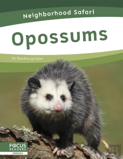 Bertrand.pt - Opossums