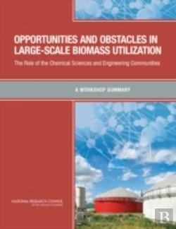 Bertrand.pt - Opportunities And Obstacles In Large-Scale Biomass Utilization