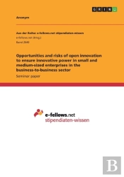 Opportunities And Risks Of Open Innovation To Ensure Innovative Power In Small And Medium-Sized Enterprises In The Business-To-Business Sector