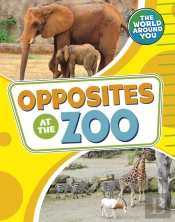 Opposites At The Zoo