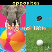 Opposites: Big And Little