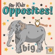 Opposites Book For Kids