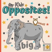 Opposites Book For Kids