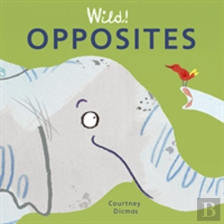 Bertrand.pt - Opposites