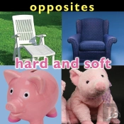 Opposites: Hard And Soft