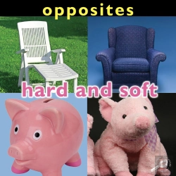 Bertrand.pt - Opposites: Hard And Soft