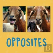 Opposites